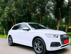 奥迪 奥迪Q5 2020款 Q5L 2.0TFSI 双离合